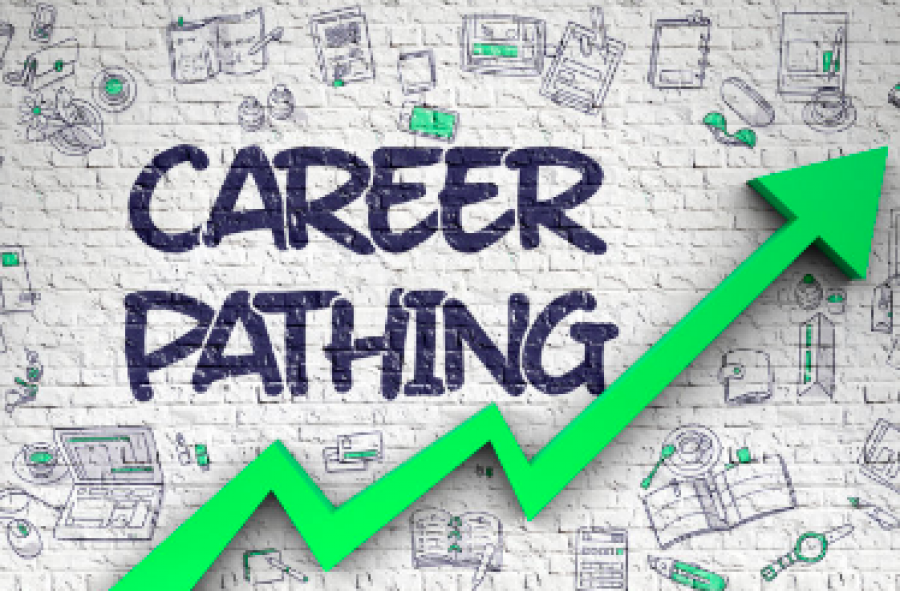 Career Growth : Strategi Pengembangan Karir